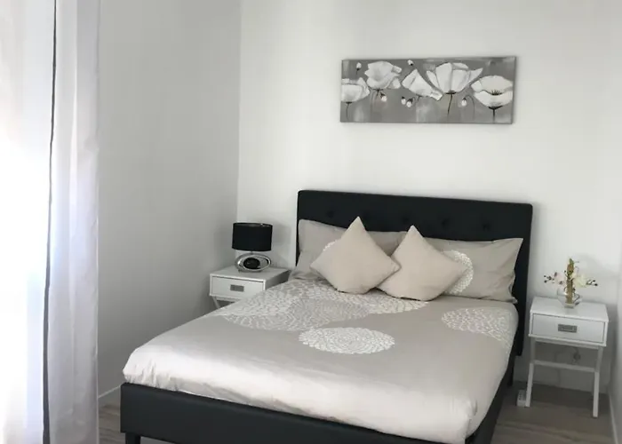 Roanne-Centre Appartement